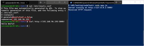 Accessing network applications with WSL .